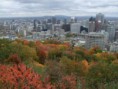 /album/le-mont-royal-en-automne/a729-jpg/