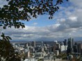 /album/le-mont-royal-en-automne/a758-jpg/