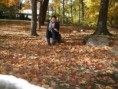 /album/le-mont-royal-en-automne/a782-jpg/