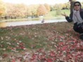 /album/le-mont-royal-en-automne/a791-jpg/