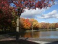 /album/le-mont-royal-en-automne/a793-jpg/