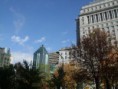 /album/un-samedi-au-centre-ville-montrealais/a886-jpg/