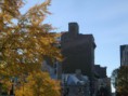 /album/lundi-19-octobre-le-bel-automne-montrealais/a1031-jpg/